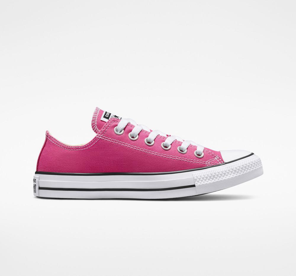 Active Fuchsia / White / Black Converse Chuck Taylor All Star Seasonal Color Unisex Men's Low Tops US | 70185-CBQU