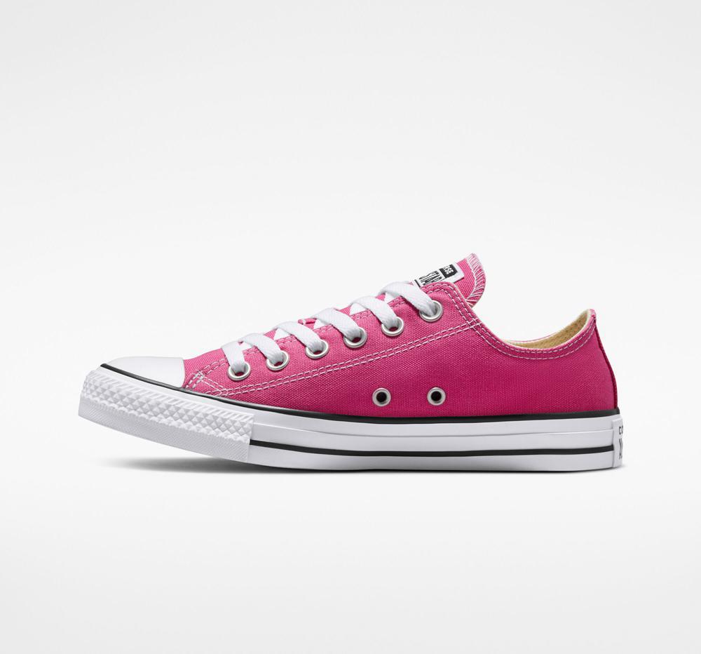 Active Fuchsia / White / Black Converse Chuck Taylor All Star Seasonal Color Unisex Men's Low Tops  US |  70185-CBQU