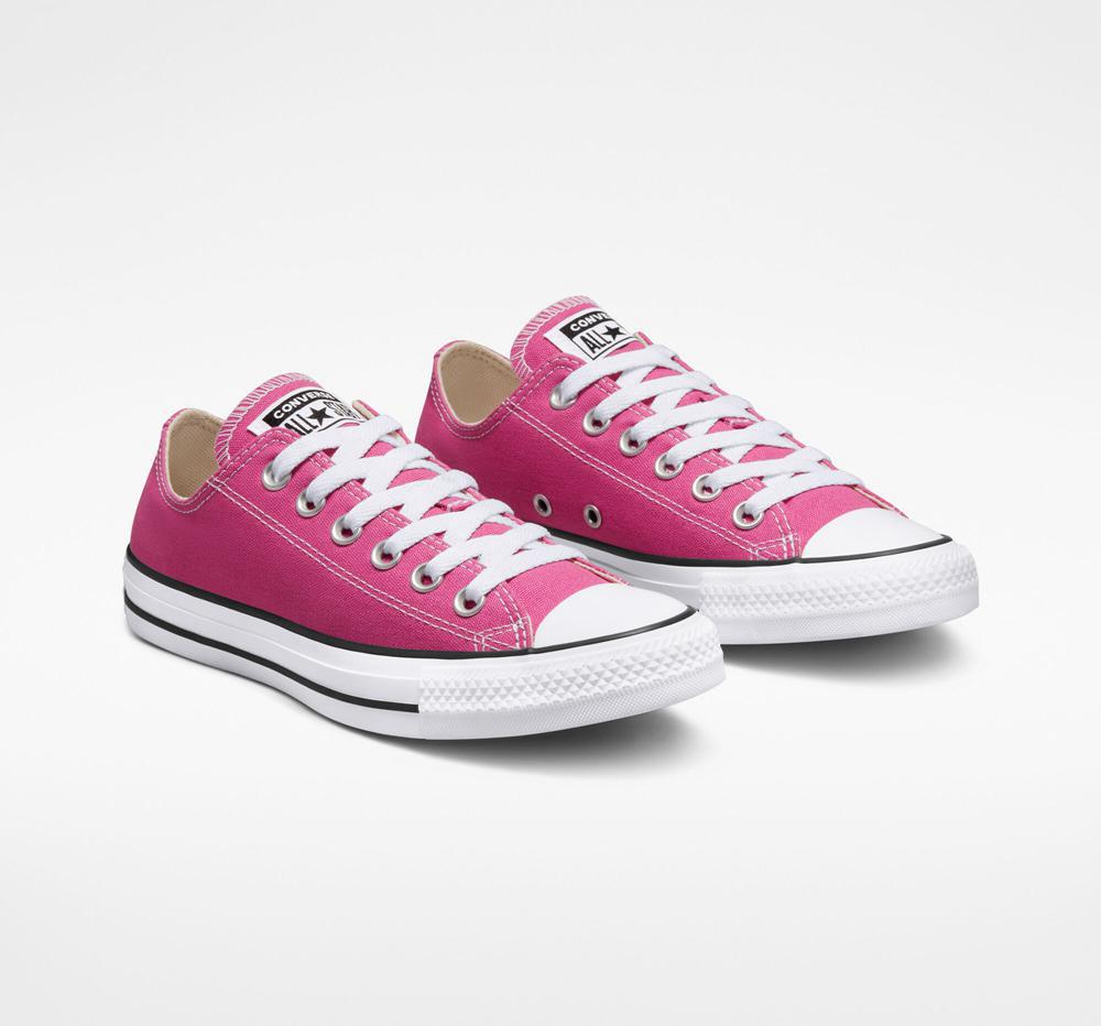 Active Fuchsia / White / Black Converse Chuck Taylor All Star Seasonal Color Unisex Men's Low Tops  US |  70185-CBQU