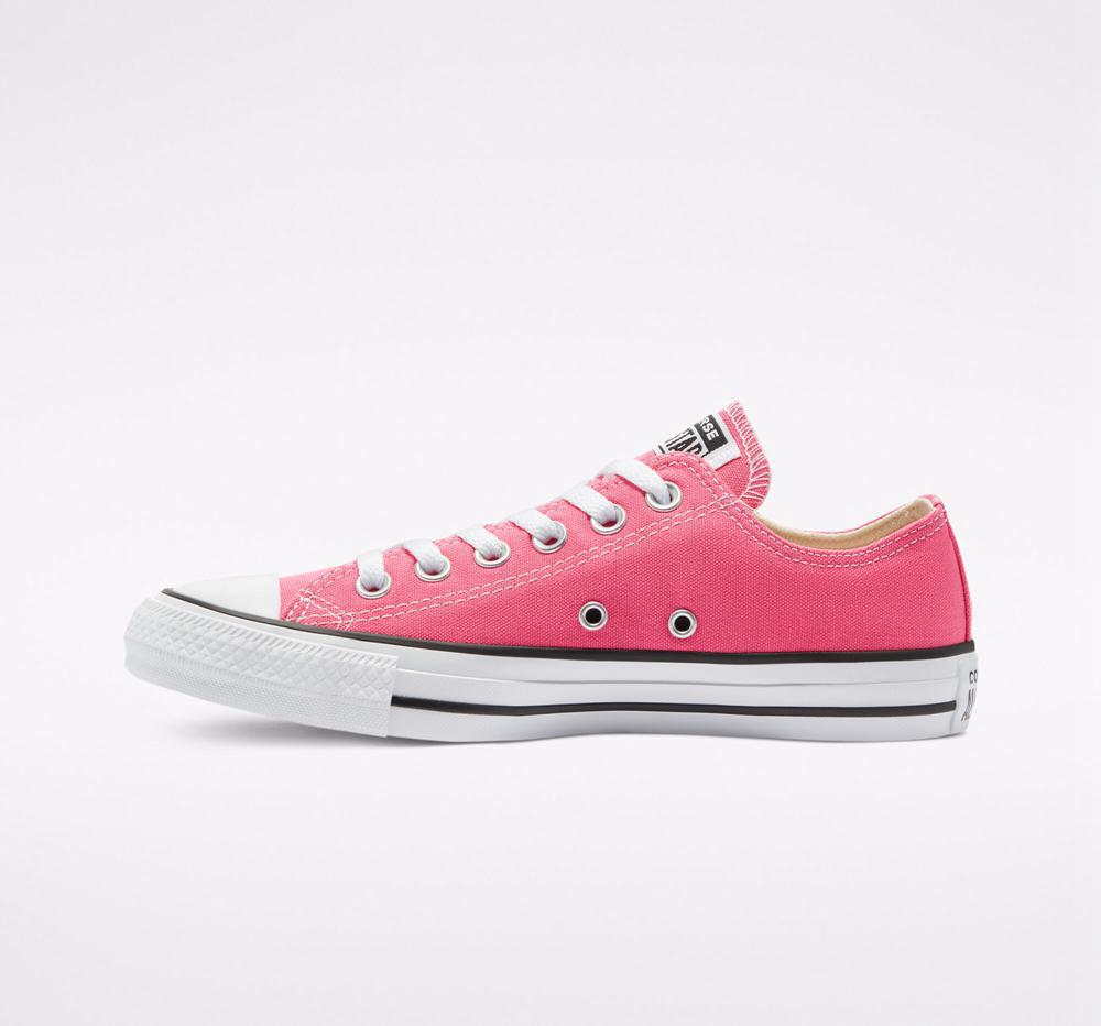 Hyper Pink Converse Chuck Taylor All Star Seasonal Color Unisex Men's Low Tops  US |  82019-CKUI