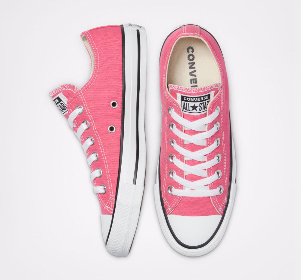 Hyper Pink Converse Chuck Taylor All Star Seasonal Color Unisex Men's Low Tops  US |  82019-CKUI