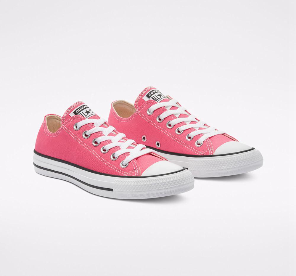 Hyper Pink Converse Chuck Taylor All Star Seasonal Color Unisex Men's Low Tops  US |  82019-CKUI