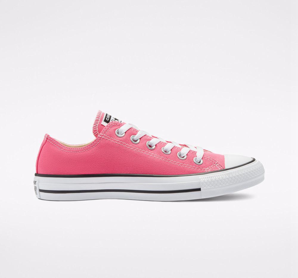 Hyper Pink Converse Chuck Taylor All Star Seasonal Color Unisex Men\'s Low Tops  US |  82019-CKUI