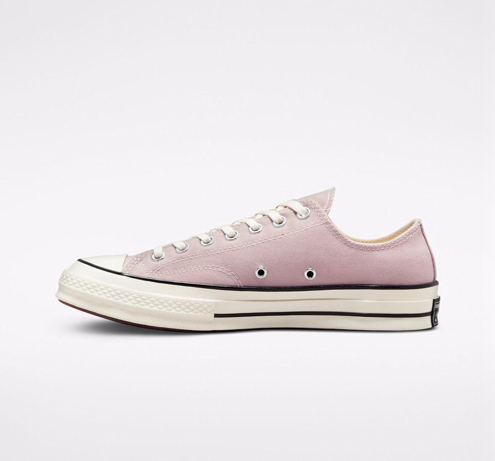 Pink Stone Mauve / Egret / Black Converse Chuck 70 Canvas Unisex Women's Low Tops  US |  24709-WMHJ